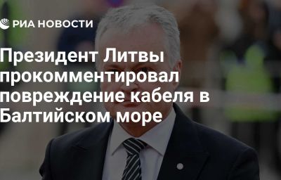 Президент Литвы прокомментировал повреждение кабеля в Балтийском море