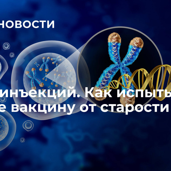 Сотни инъекций. Как испытывают на себе вакцину от старости