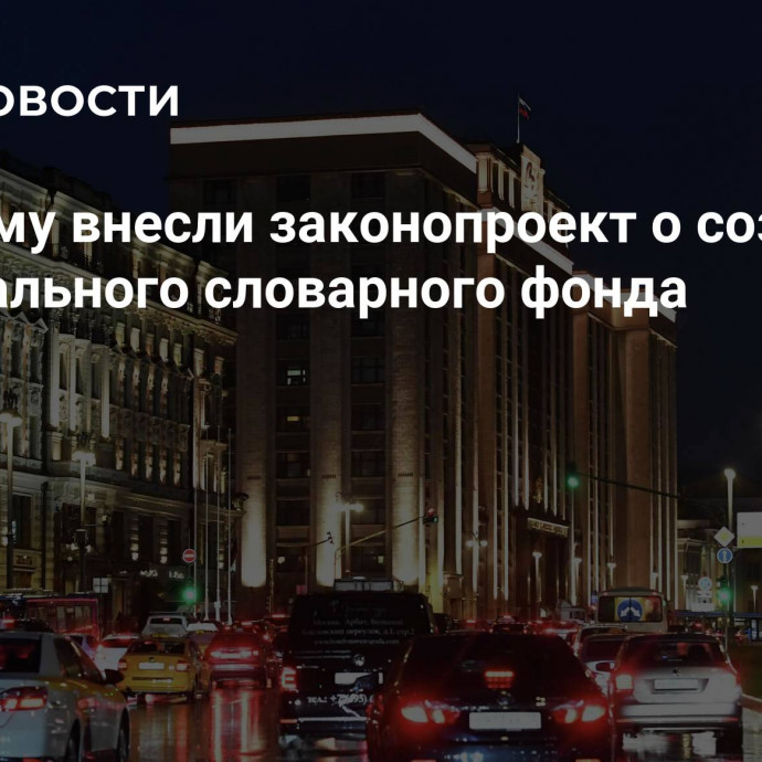 В Госдуму внесли законопроект о создании Национального словарного фонда