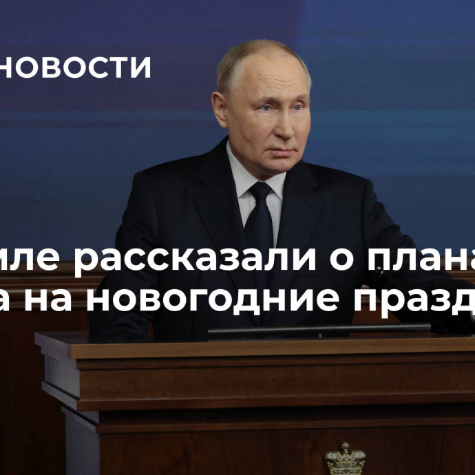 В Кремле рассказали о планах Путина на новогодние праздники