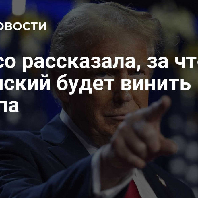 Politico рассказала, за что Зеленский будет винить Трампа