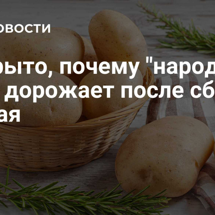 Раскрыто, почему 