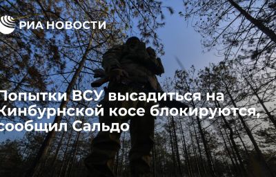 Попытки ВСУ высадиться на Кинбурнской косе блокируются, сообщил Сальдо