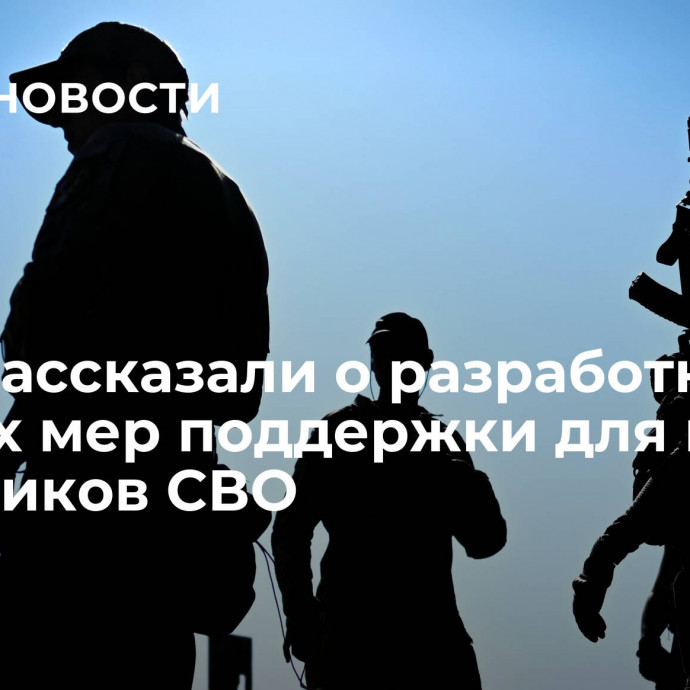 В СФ рассказали о разработке равных мер поддержки для всех участников СВО