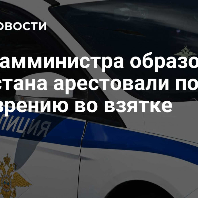 Экс-замминистра образования Дагестана арестовали по подозрению во взятке