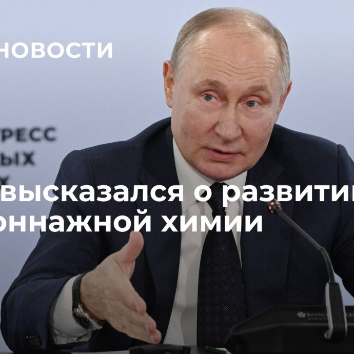 Путин высказался о развитии малотоннажной химии