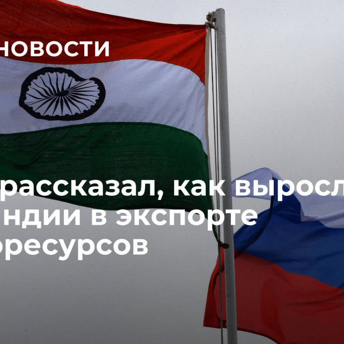 Новак рассказал, как выросла доля Индии в экспорте энергоресурсов