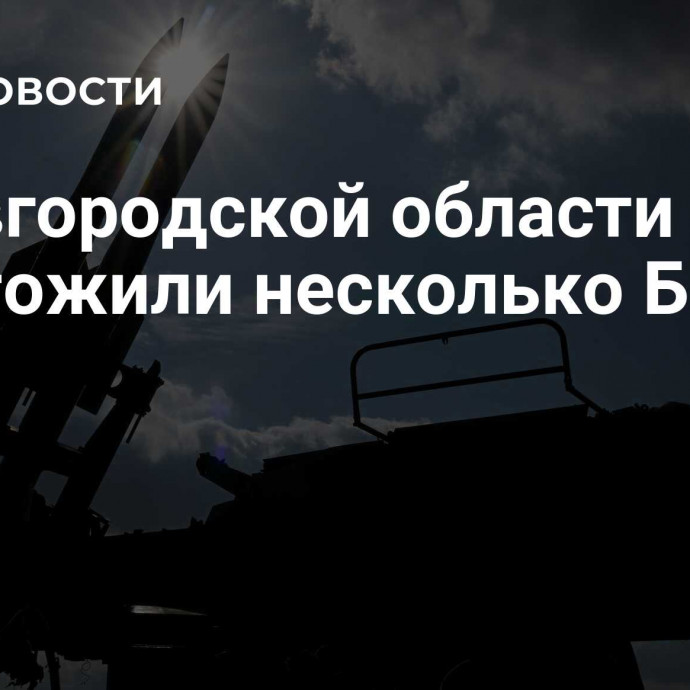 В Новгородской области уничтожили несколько БПЛА