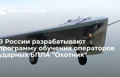 В России разрабатывают программу обучения операторов ударных БПЛА "Охотник"