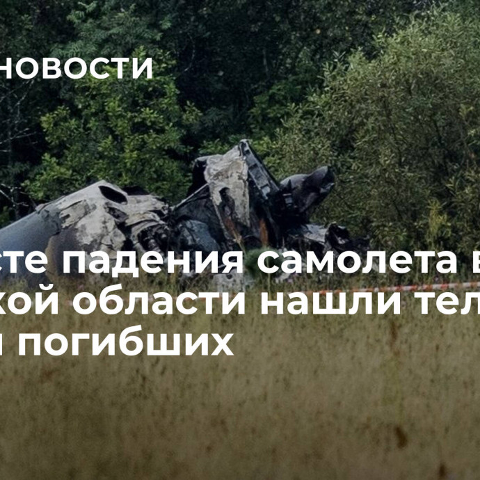 На месте падения самолета в Тверской области нашли тела десяти погибших