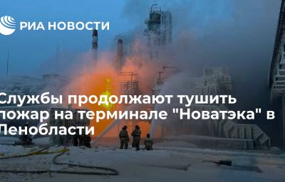 Службы продолжают тушить пожар на терминале "Новатэка" в Ленобласти