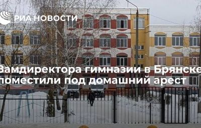 Замдиректора гимназии в Брянске поместили под домашний арест