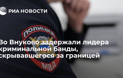 Во Внуково задержали лидера криминальной банды, скрывавшегося за границей