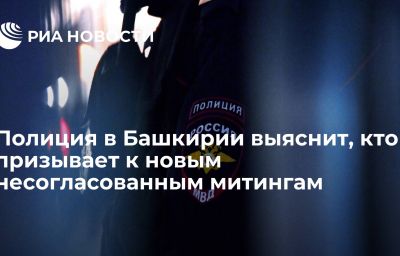 Полиция в Башкирии выяснит, кто призывает к новым несогласованным митингам