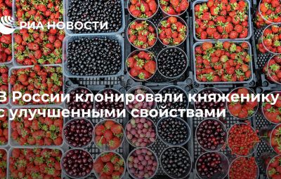 В России клонировали княженику с улучшенными свойствами