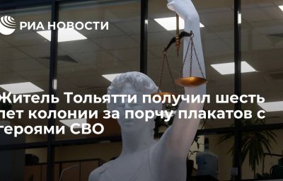 Житель Тольятти получил шесть лет колонии за порчу плакатов с героями СВО