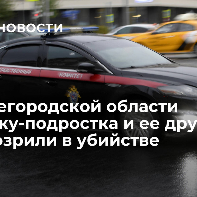 В Нижегородской области девушку-подростка и ее друга заподозрили в убийстве