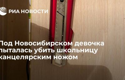 Под Новосибирском девочка пыталась убить школьницу канцелярским ножом