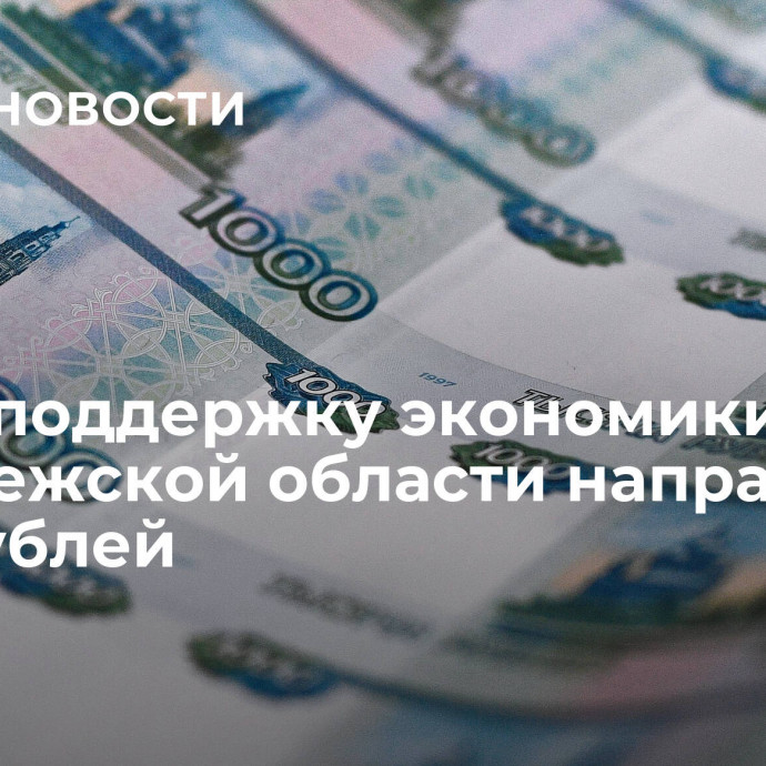 На господдержку экономики Воронежской области направят 8 млн рублей