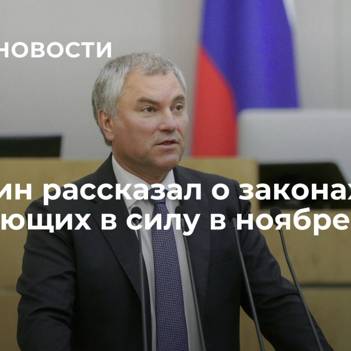 Володин рассказал о законах, вступающих в силу в ноябре