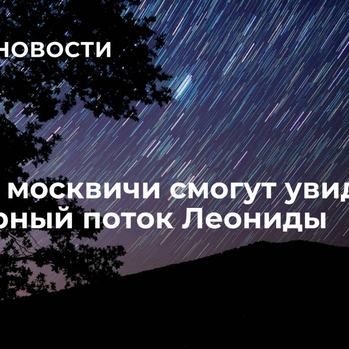 Ночью москвичи смогут увидеть метеорный поток Леониды