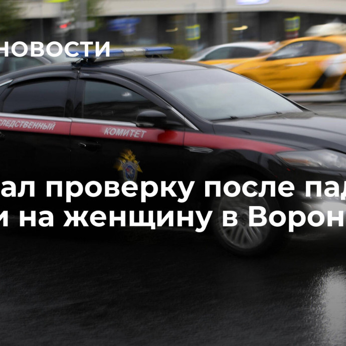 СК начал проверку после падения наледи на женщину в Воронеже