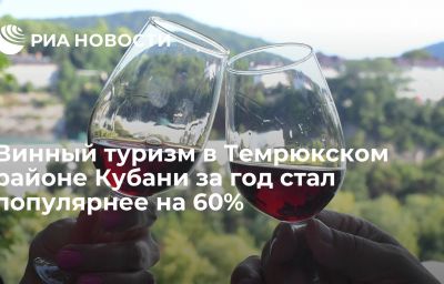 Винный туризм в Темрюкском районе Кубани за год стал популярнее на 60%