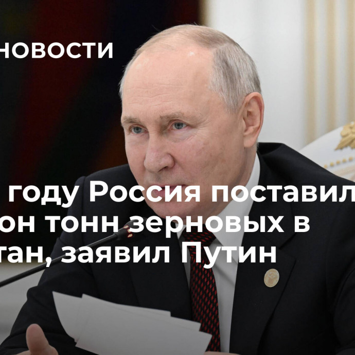 В этом году Россия поставила миллион тонн зерновых в Пакистан, заявил Путин