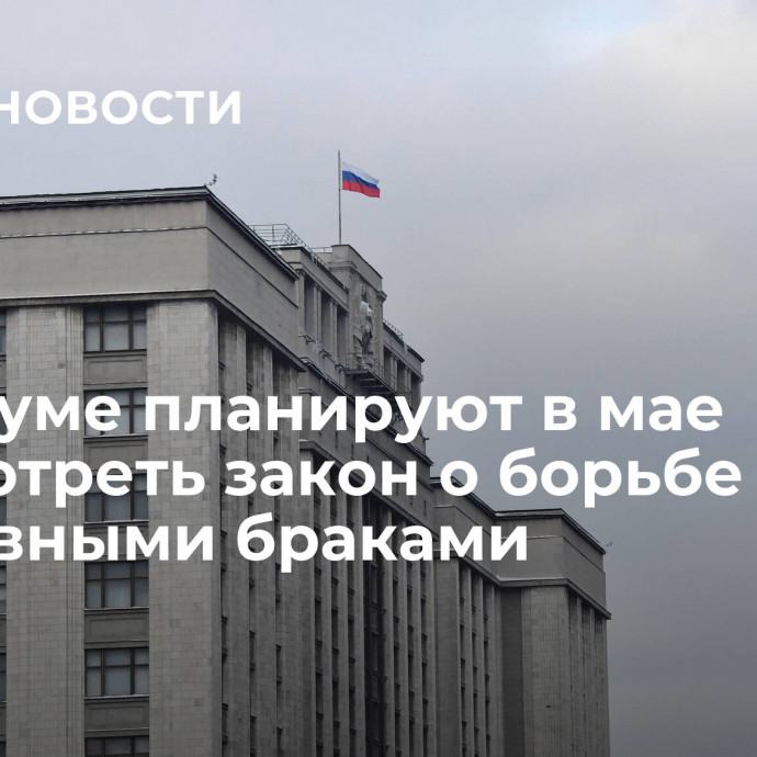 В Госдуме планируют в мае рассмотреть закон о борьбе с фиктивными браками