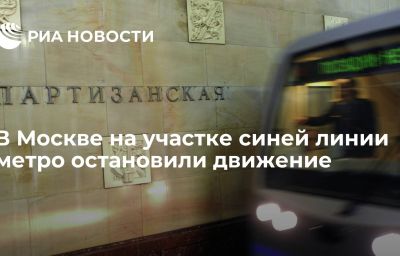 В Москве на участке синей линии метро остановили движение