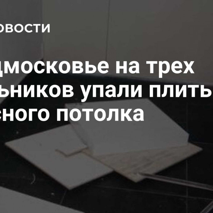 В Подмосковье на трех школьников упали плиты навесного потолка