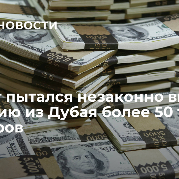 Турист пытался незаконно ввести в Россию из Дубая более 50 тысяч долларов