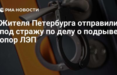 Жителя Петербурга отправили под стражу по делу о подрыве опор ЛЭП