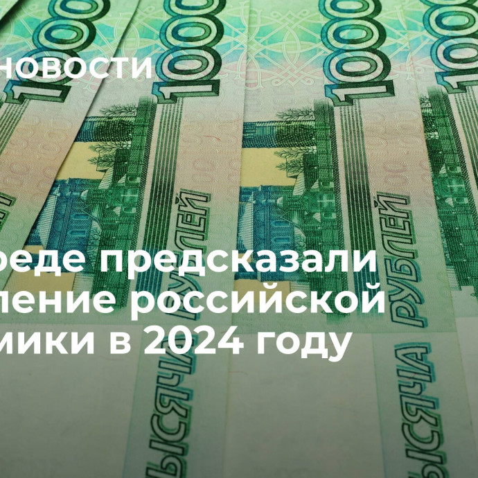 В Совфеде предсказали укрепление российской экономики в 2024 году