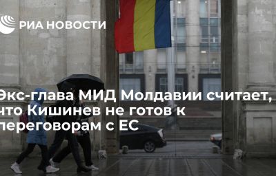 Экс-глава МИД Молдавии считает, что Кишинев не готов к переговорам с ЕС