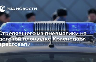 Стрелявшего из пневматики на детской площадке Краснодара арестовали