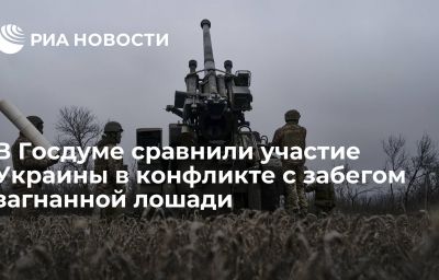 В Госдуме сравнили участие Украины в конфликте с забегом загнанной лошади