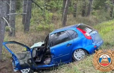 В ДТП на трассе в Башкирии погибли водитель и лось