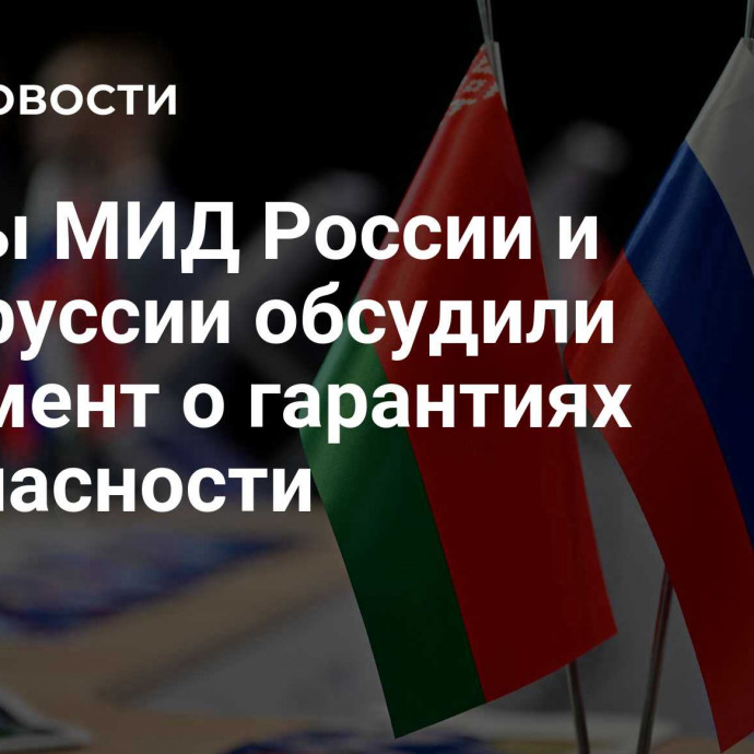 Главы МИД России и Белоруссии обсудили документ о гарантиях безопасности