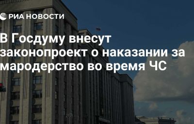 В Госдуму внесут законопроект о наказании за мародерство во время ЧС