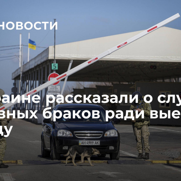 На Украине рассказали о случаях фиктивных браков ради выезда за границу