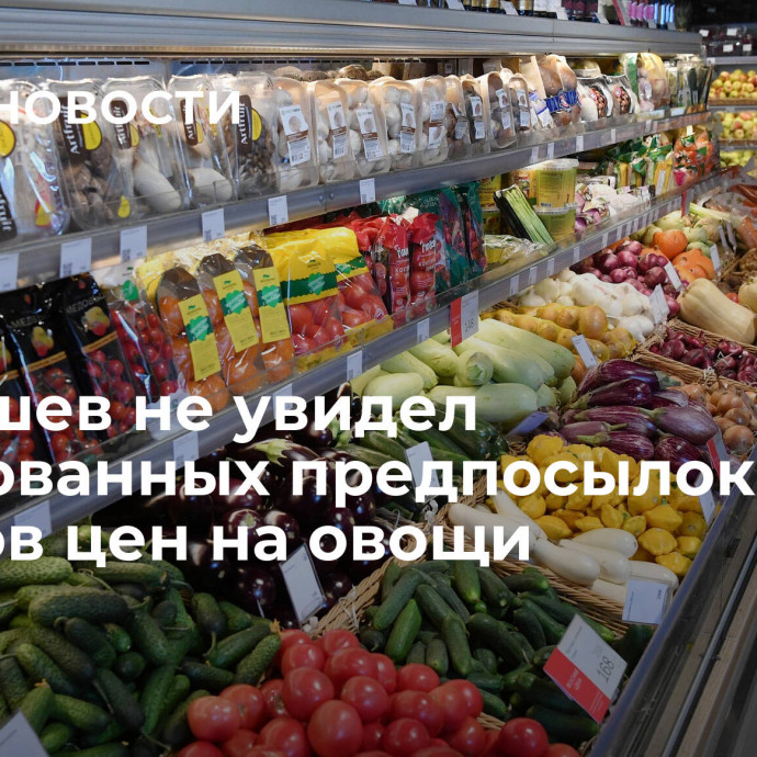 Патрушев не увидел обоснованных предпосылок для скачков цен на овощи