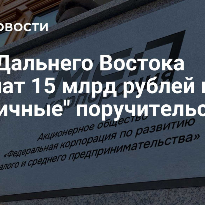 МСБ Дальнего Востока получат 15 млрд рублей под 