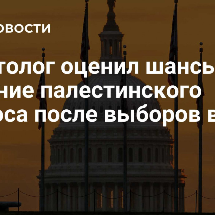 Политолог оценил шансы на решение палестинского вопроса после выборов в США