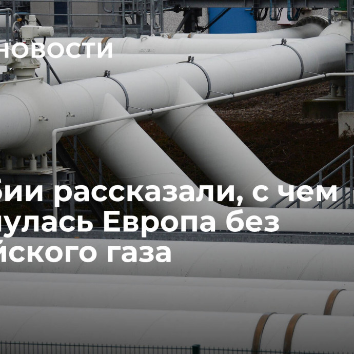 В Сербии рассказали, с чем столкнулась Европа без российского газа