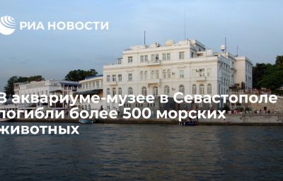 В аквариуме-музее в Севастополе погибли более 500 морских животных