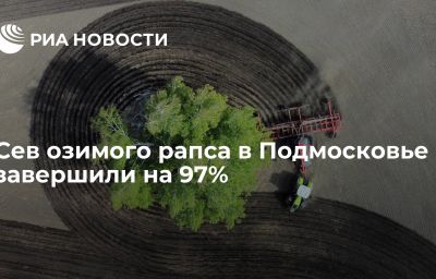 Сев озимого рапса в Подмосковье завершили на 97%