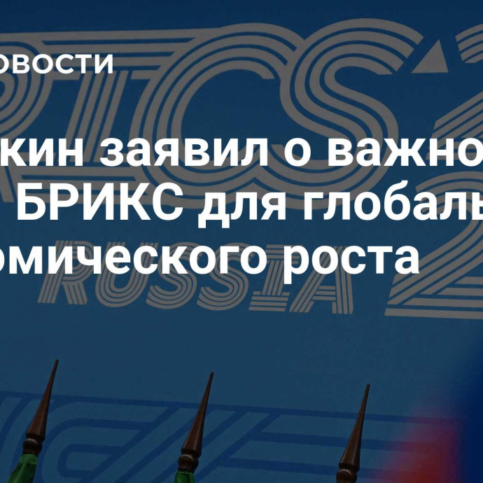 Орешкин заявил о важности стран БРИКС для глобального экономического роста