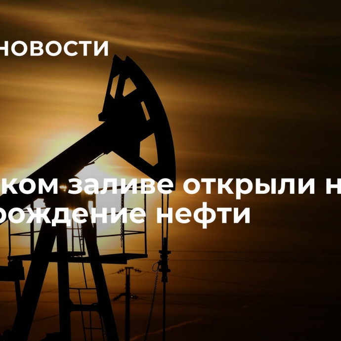 В Суэцком заливе открыли новое месторождение нефти