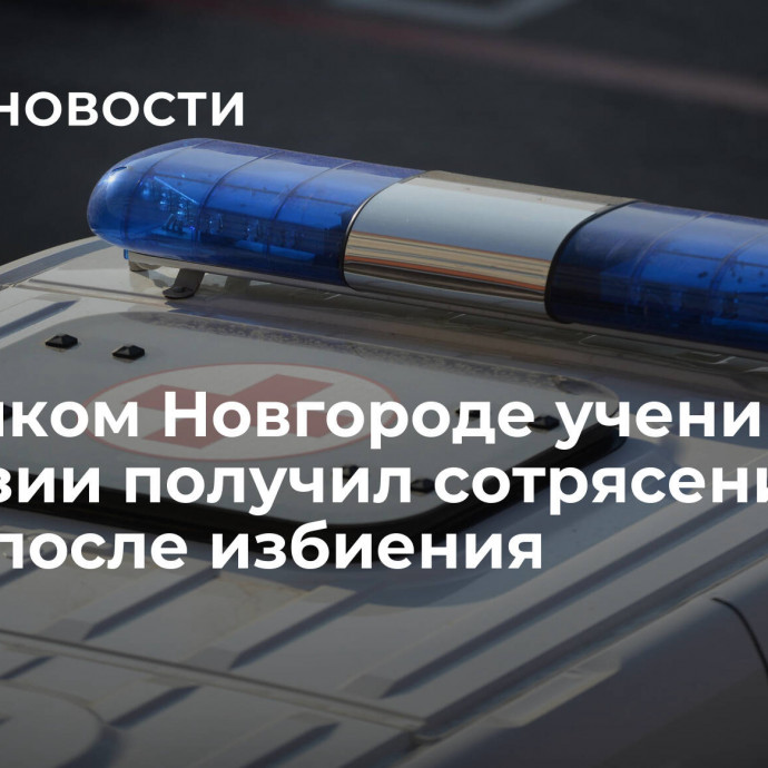 В Великом Новгороде ученик гимназии получил сотрясение мозга после избиения